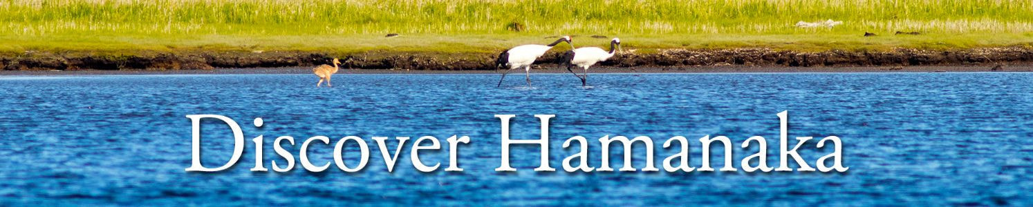 Discover hamanaka_浜中町商工会